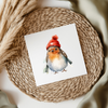 Robin With Winter Hat UVDTF Transfer