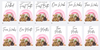 DIGITAL FILE - Milestone Cards Pink Rainbow Bear Style