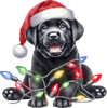 Dog Breed Christmas Lights DTF Transfer