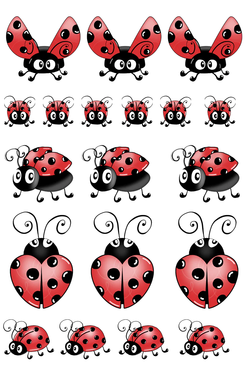Lady Bug- 13.5*20cm UV DTF Sheet