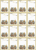 DIGITAL FILE - Candy Cane Lane Galaxy Boards BUNDLE of 48