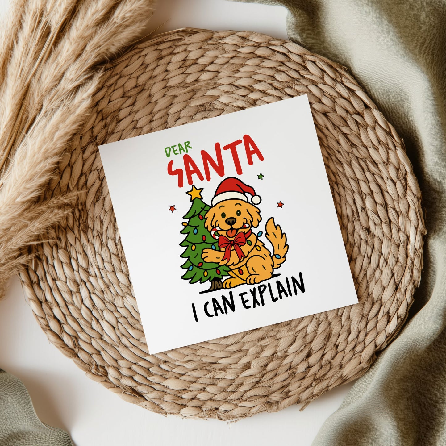 Dear Santa I Can Explain UVDTF Transfer